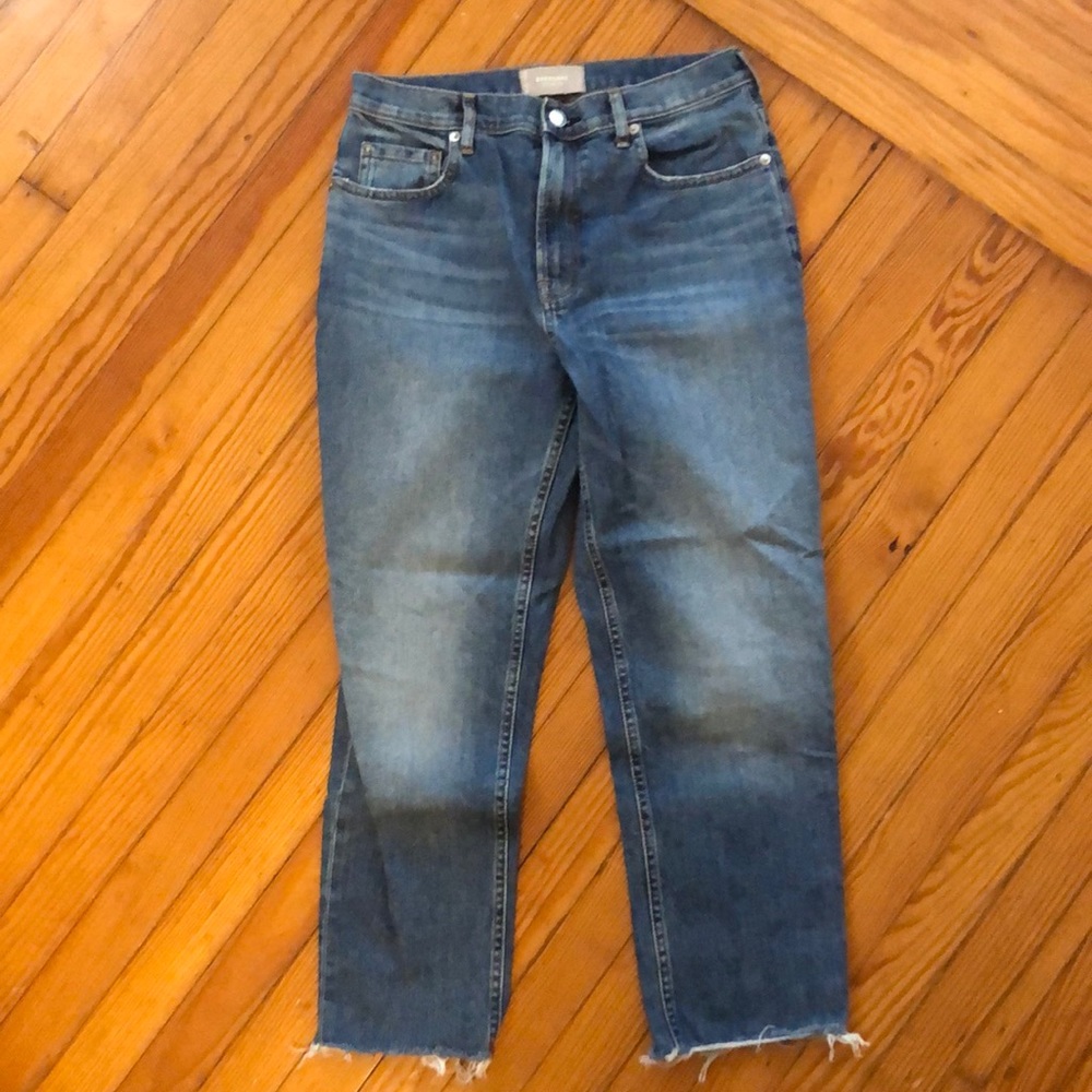 Everlane The Japanese Denim Cheeky Denim